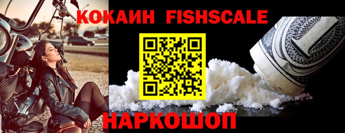 COCAIN Columbia Губкинский