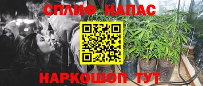 стаф Малгобек