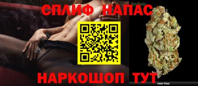 стаф Малгобек