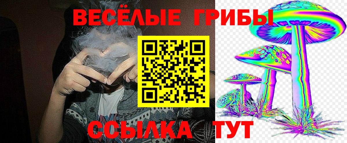 Псилоцибиновые грибы Magic Shrooms Губкинский