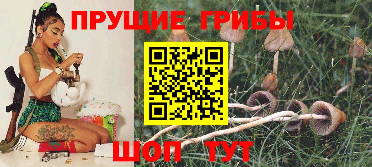Галлюциногенные грибы Psilocybine cubensis  Вход с VPN  Псилоцибиновые грибы MAGIC MUSHROOMS  Губкинский 